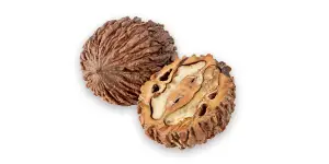 Black Walnut Hull Image of walnut hull